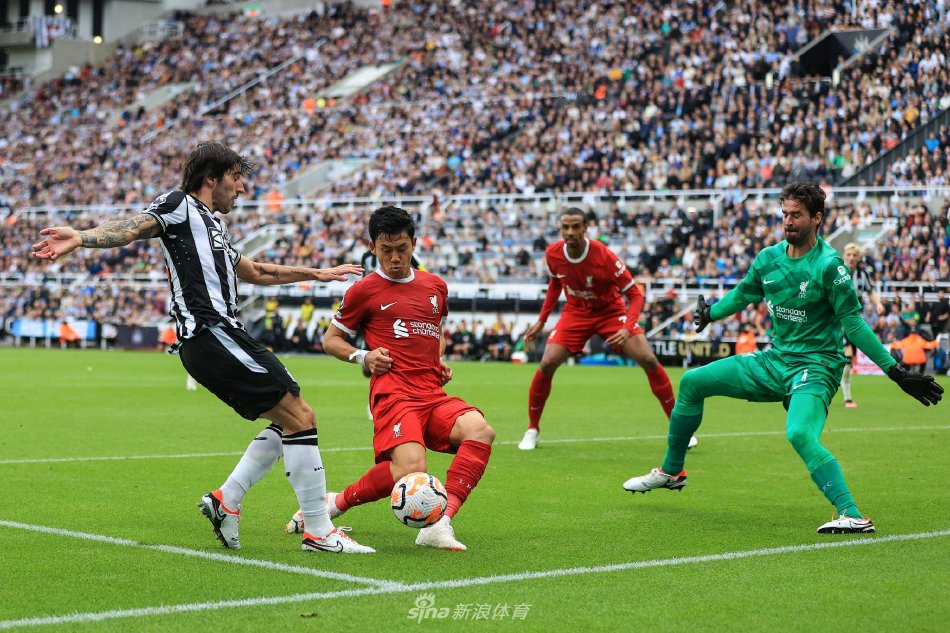 高阶棋手的 高阶棋手的