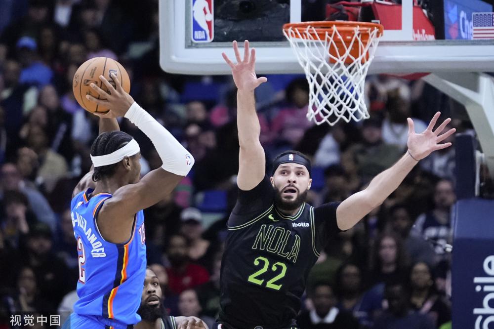 的保障者 的保障者